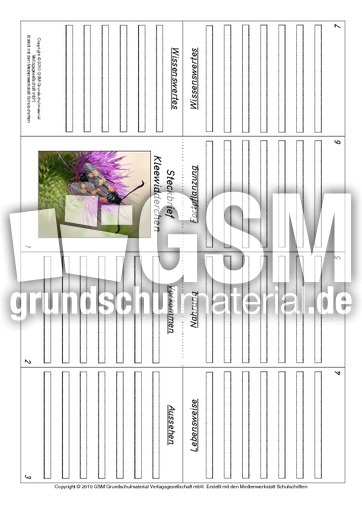 Faltbuch-Kleewidderchen.pdf